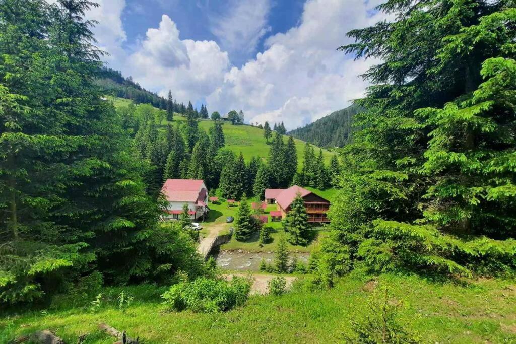 Сімейний Номер 2 Садиба У Ані Synevyrsʼka Polyana Exterior foto